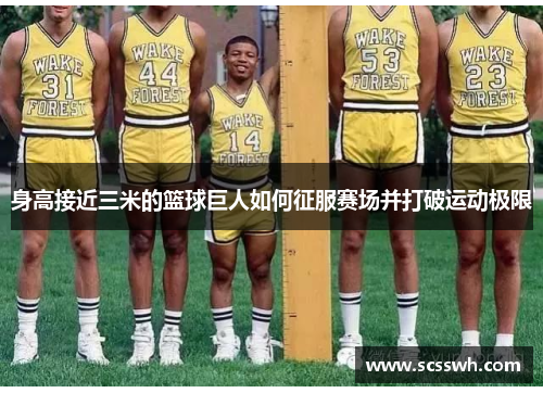 身高接近三米的篮球巨人如何征服赛场并打破运动极限