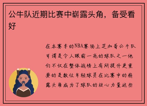公牛队近期比赛中崭露头角，备受看好