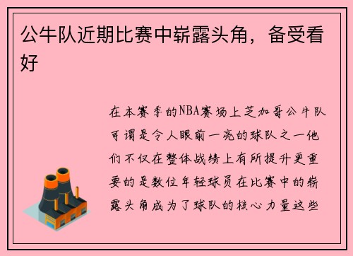 公牛队近期比赛中崭露头角，备受看好